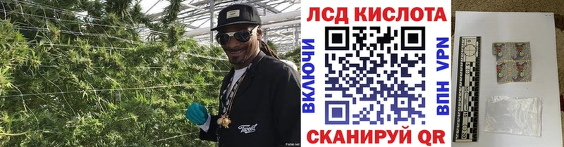 Наркотические марки 1,5мг  купить закладку  Колпашево 