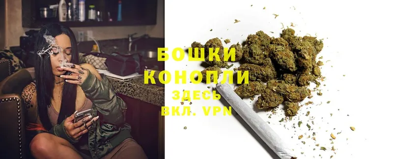 МАРИХУАНА Bruce Banner  продажа наркотиков  Колпашево 